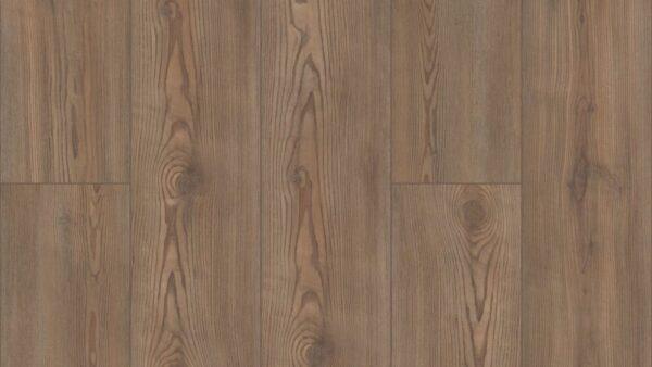 COREtec Pro Plus Enhanced Pembroke Pine 7"