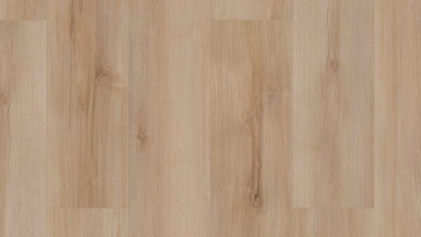 COREtec Pro Plus Enhanced Lucent Oak 7"