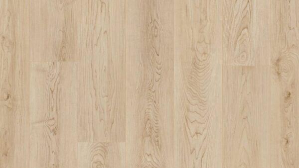 COREtec Pro Plus Enhanced Shoreline Maple 7"