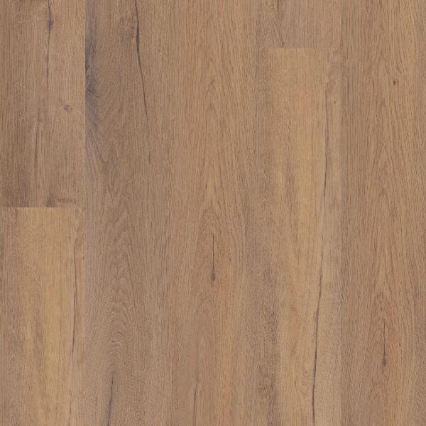 COREtec CT Premium Sand Dollar Oak 9"