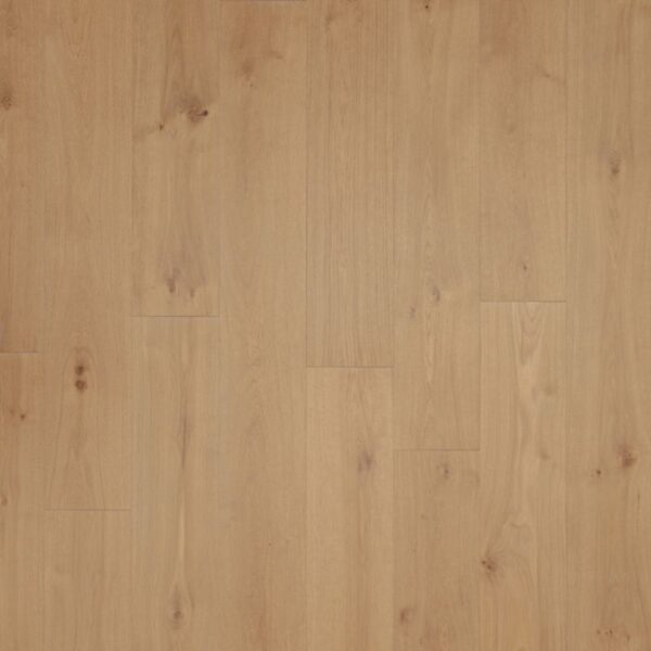 Mohawk UltraWood Plus Sebastian Isle Puerta Oak 9"