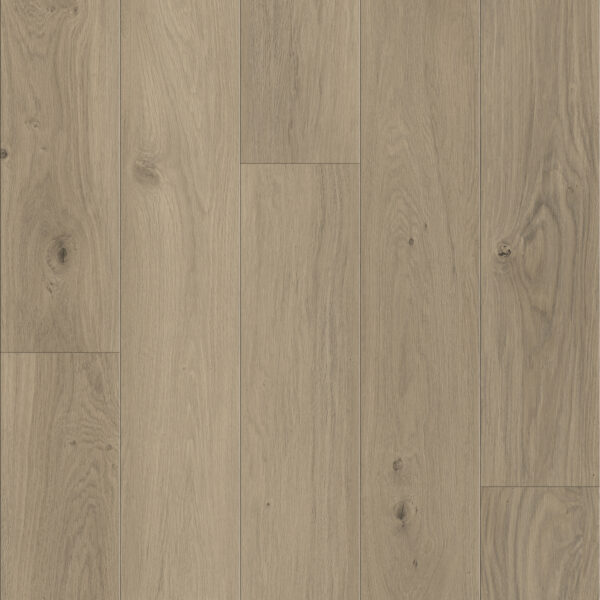 Southwind Luxury Vinly Plank Woodwind pressed 8504 Cadance Oak