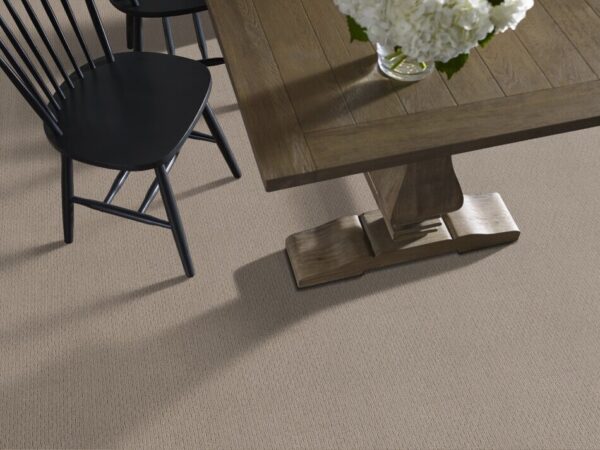 TUFTEX TUFTEX CLASSICS CASUAL LIFE SIMPLY TAUPE Z6812-00572 Room Scene