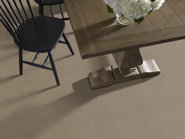 TUFTEX TUFTEX CLASSICS CASUAL LIFE COTTAGE STONE Z6812-00735 Room Scene