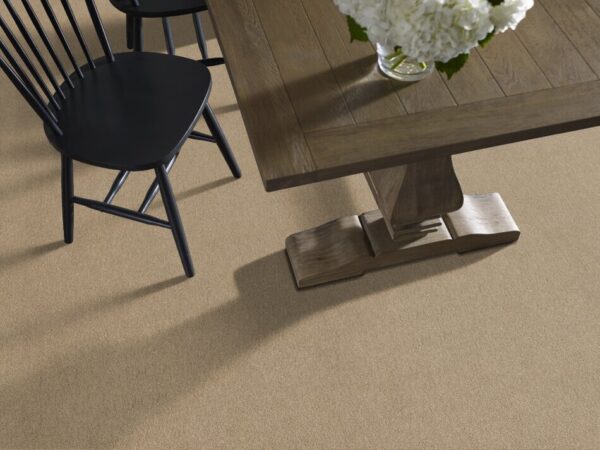 TUFTEX TUFTEX CLASSICS SERENDIPITY I HUMUS Z6814-00122 Room Scene