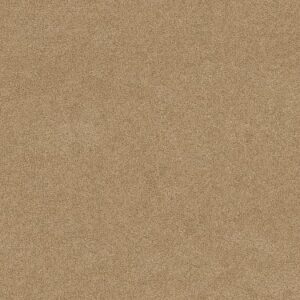 TUFTEX TUFTEX CLASSICS SERENDIPITY I CHAMOIS Z6814-00221
