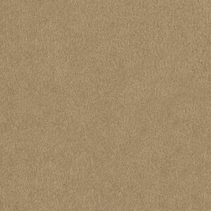 TUFTEX TUFTEX CLASSICS SERENDIPITY I MACADAMIA Z6814-00232