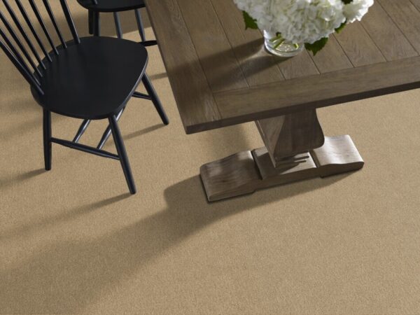 TUFTEX TUFTEX CLASSICS SERENDIPITY I MACADAMIA Z6814-00232 Room Scene