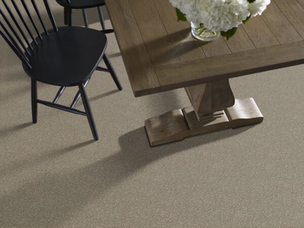 TUFTEX TUFTEX CLASSICS SERENDIPITY I ATMOSPHERE Z6814-00535 Room Scene