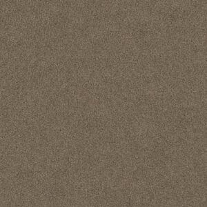 TUFTEX TUFTEX CLASSICS SERENDIPITY I SIMPLY TAUPE Z6814-00572