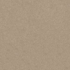 TUFTEX TUFTEX CLASSICS SERENDIPITY I AGATE Z6814-00712