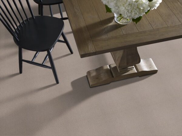 TUFTEX TUFTEX CLASSICS CASUAL MOOD BIRCH SHADOW Z6820-00555 Room Scene