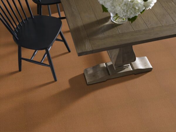 TUFTEX TUFTEX CLASSICS CASUAL MOOD SUN BAKED Z6820-00767 Room Scene