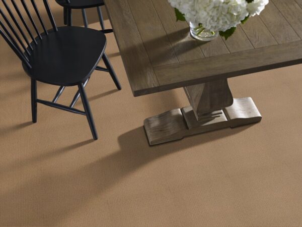 TUFTEX TUFTEX CLASSICS CASUAL MOOD BOARDWALK Z6820-00775 Room Scene