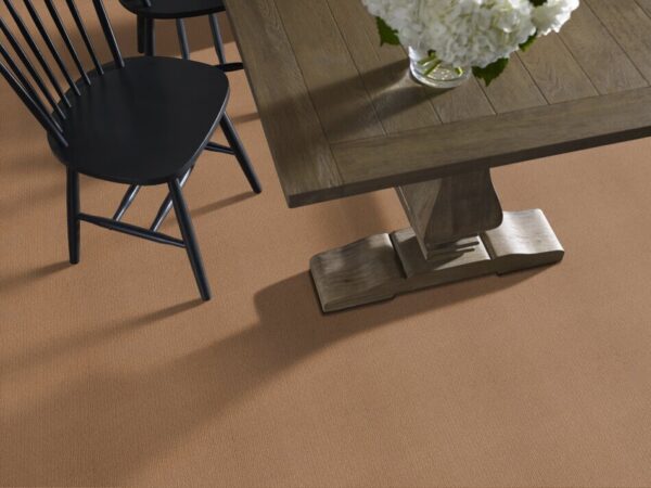 TUFTEX TUFTEX CLASSICS CASUAL MOOD MOLASSES Z6820-00783 Room Scene