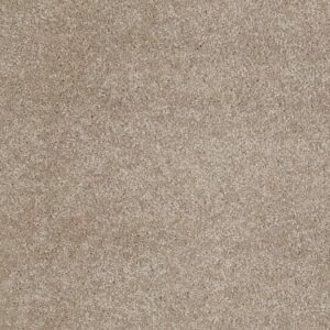 TUFTEX TUFTEX CLASSICS WEST PLACE I LATTE ZZ003-00172
