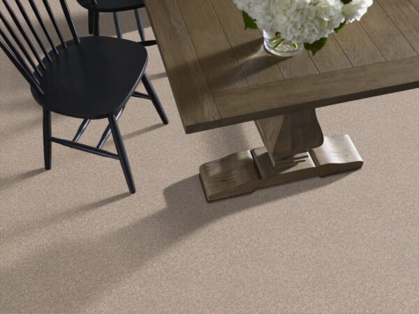 TUFTEX TUFTEX CLASSICS WEST PLACE I LATTE ZZ003-00172 Room Scene
