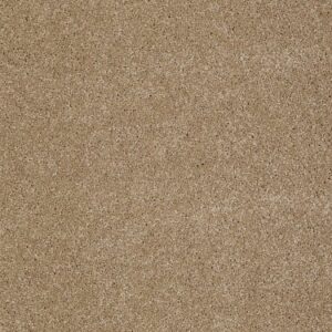 TUFTEX TUFTEX CLASSICS WEST PLACE I OAT CAKE ZZ003-00273