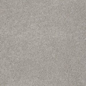 TUFTEX TUFTEX CLASSICS WEST PLACE I HARBOR MIST ZZ003-00511