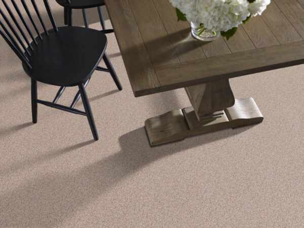 TUFTEX TUFTEX CLASSICS WEST PLACE I AURORA ZZ003-0161B Room Scene