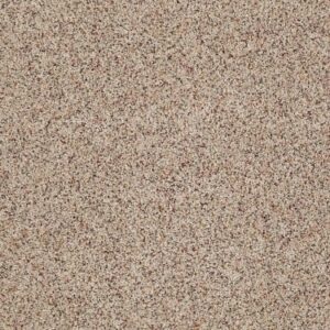 TUFTEX TUFTEX CLASSICS WEST PLACE I TERRAZZO ZZ003-0213B