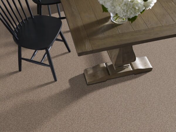 TUFTEX TUFTEX CLASSICS WEST PLACE I BUCKSHOT ZZ003-0521B Room Scene