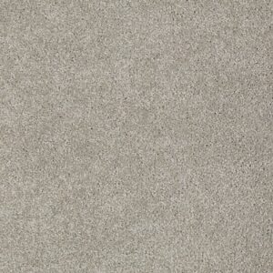 TUFTEX TUFTEX CLASSICS WEST PLACE II SILVERWOOD ZZ005-00152