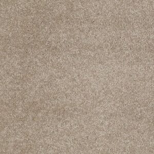 TUFTEX TUFTEX CLASSICS WEST PLACE II LATTE ZZ005-00172