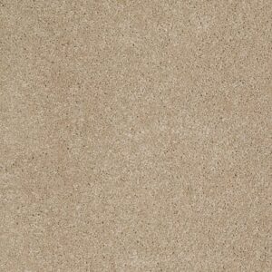 TUFTEX TUFTEX CLASSICS WEST PLACE II NAVAJO ZZ005-00222