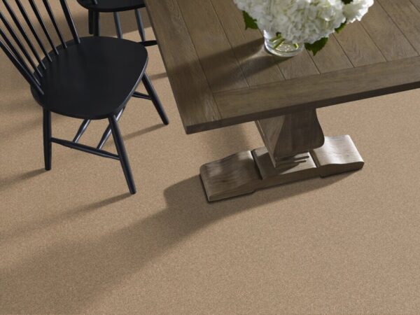 TUFTEX TUFTEX CLASSICS WEST PLACE II OAT CAKE ZZ005-00273 Room Scene