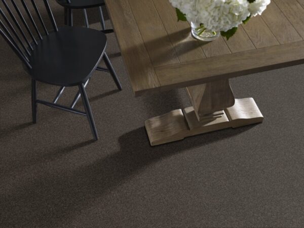 TUFTEX TUFTEX CLASSICS WEST PLACE II COCOA BEAN ZZ005-00778 Room Scene