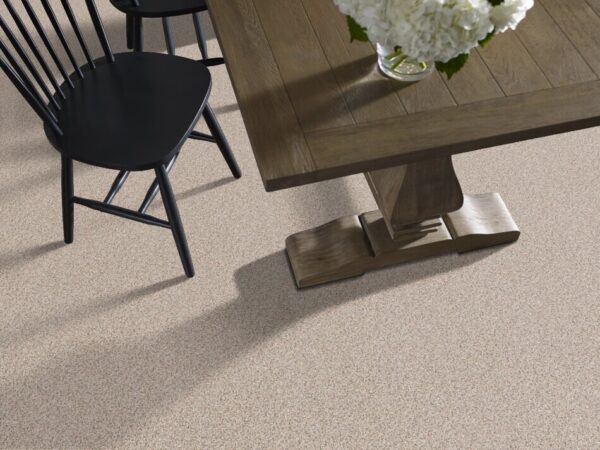 TUFTEX TUFTEX CLASSICS WEST PLACE II DOGWOOD ZZ005-0211B Room Scene