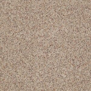 TUFTEX TUFTEX CLASSICS WEST PLACE II TERRAZZO ZZ005-0213B