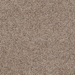 TUFTEX TUFTEX CLASSICS WEST PLACE II MORNING BLEND ZZ005-0214B