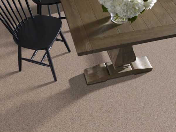 TUFTEX TUFTEX CLASSICS WEST PLACE II MORNING BLEND ZZ005-0214B Room Scene