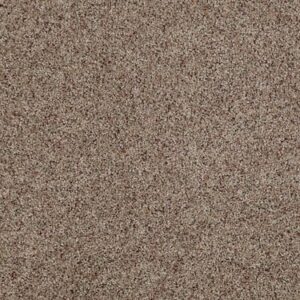 TUFTEX TUFTEX CLASSICS WEST PLACE II BUCKSHOT ZZ005-0521B