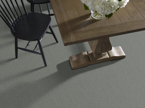 TUFTEX PET PERFECT ON POINT HIDDEN COVE ZZ012-00555 Room Scene