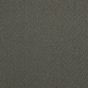 TUFTEX PET PERFECT ON POINT EARTH ZZ012-00776