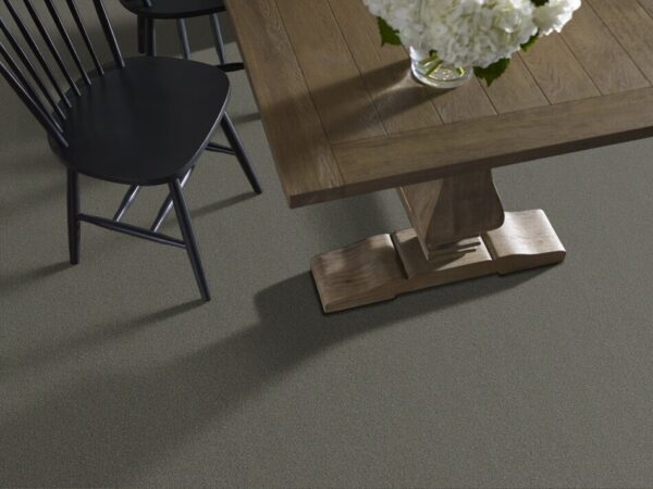TUFTEX PET PERFECT ON POINT EARTH ZZ012-00776 Room Scene