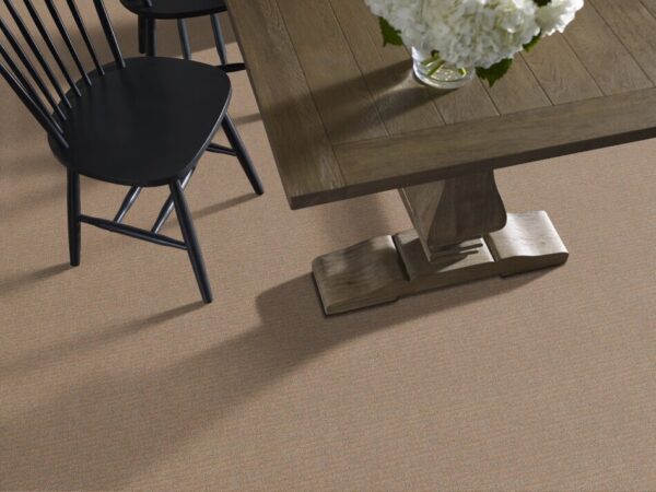 TUFTEX TUFTEX CLASSICS ART DISTRICT NUTWOOD ZZ024-00272 Room Scene