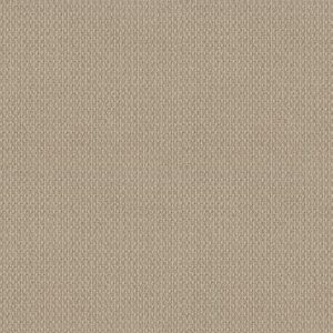 TUFTEX  MOONDANCE PALE BEACH ZZ035-00212