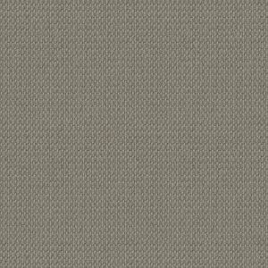 TUFTEX  MOONDANCE FOGGY HAZE ZZ035-00552