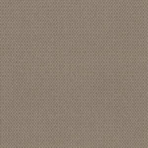 TUFTEX  MOONDANCE CANVAS ZZ035-00732