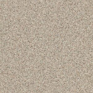 TUFTEX TUFTEX CLASSICS CARMEL COAST GRAY MORN ZZ046-00552