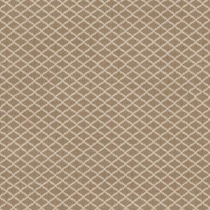 TUFTEX  SPRINGER'S POINT TWILIGHT GOLD ZZ049-00213