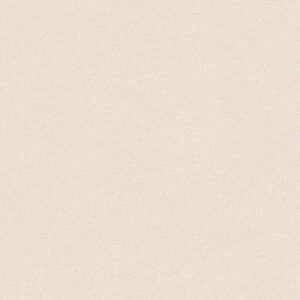 TUFTEX  PERFECT CHOICE AGED PAPER ZZ064-00171