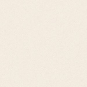 TUFTEX  PERFECT CHOICE FRENCH WHITE ZZ064-00221