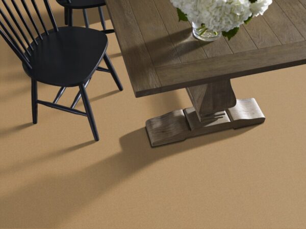TUFTEX  PERFECT CHOICE BARLEY ZZ064-00227 Room Scene