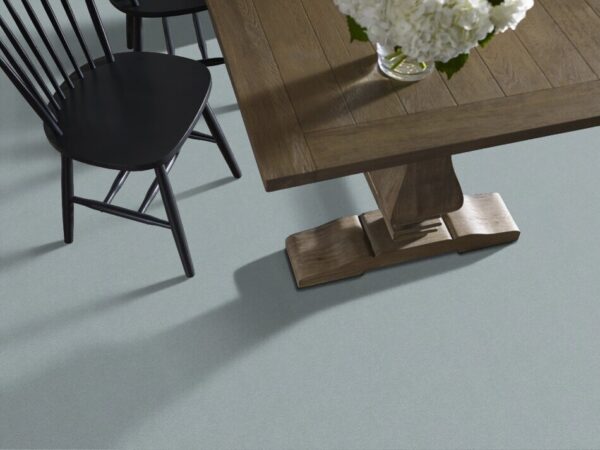 TUFTEX  PERFECT CHOICE STREAM ZZ064-00454 Room Scene