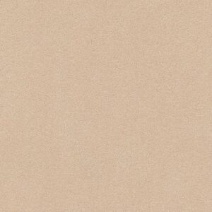 TUFTEX  PERFECT CHOICE COCOA SAND ZZ064-00773